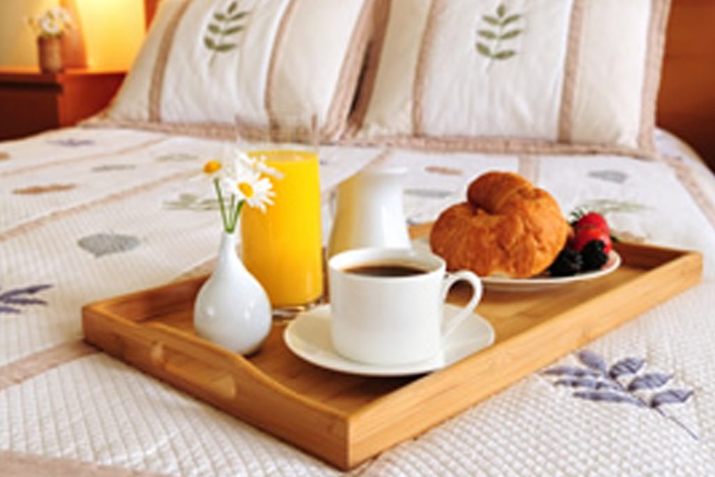 B&B De Valkenhorst — sfeervolle bed & breakfast in Lelystad — foto 15